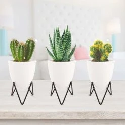LangRay 3 Pcs Flower Pots, Flower Pots With Stands, Plant Holders Plant Pots, Plants Plant Pot For Indoor, Outdoor, Balcony, Garden (Small) 7 LangRay 3 Pcs Flower Pots, Flower Pots With Stands, Plant Holders Plant Pots, Plants Plant Pot For Indoor, Outdoor, Balcony, Garden (Small) -Dwarf Discovery shop 37252728 3