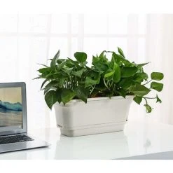 40CM Self-Watering Plant Pot Rectangular Plastic Planters, Modern Decorative Flower Pot For All Plants, Flowers, Herbs - Beige, Set Of 2 7 40CM Self-Watering Plant Pot Rectangular Plastic Planters, Modern Decorative Flower Pot For All Plants, Flowers, Herbs - Beige, Set Of 2 -Dwarf Discovery shop 37617570 3