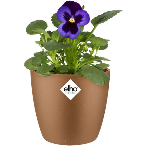 Elho Flower Pot Brussels Round Planter Plant Window Box Indoor Outdoor Plastic Samtgold/0,8 Liter (de) 1 Elho Flower Pot Brussels Round Planter Plant Window Box Indoor Outdoor Plastic Samtgold/0,8 Liter (de)