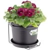 Elho Flower Pot Green Basics Potholder 19x15cm Round Balcony Bracket Planter Plant Container Black