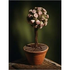 Dwarf Discovery shop -Dwarf Discovery shop 51796873 2