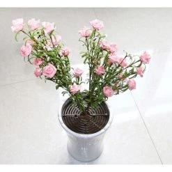 LangRay Plant Protection Pot, Brown, 52cm Diameter -Dwarf Discovery shop 51796873 4