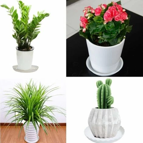 Flower Pot Saucer, 10pcs Plastic Flower Pot Saucer, Indoor Or Outdoor Plant Saucers White, Ø 25.5cm 5 Flower Pot Saucer, 10pcs Plastic Flower Pot Saucer, Indoor Or Outdoor Plant Saucers White, Ø 25.5cm - Image 5