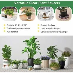 Flower Pot Saucer, 10pcs Plastic Flower Pot Saucer, Indoor Or Outdoor Plant Saucers White, Ø 21.5cm -Dwarf Discovery shop 58420555 4