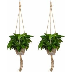 Hanging Rope Flower Pot Plant Holder For Indoor Outdoor Decorations (105Cm) 2 Packs -Dwarf Discovery shop 58420738 3