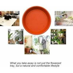 Pot Plant Saucers, Saucer Plants, Potted Flowers Saucer, Plastic Plant Drip Pot Tray Round Shape -Dwarf Discovery shop 58424024 5