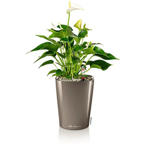Lechuza Deltini Self Watering Pot Taupe 18cm 14904 2 Lechuza Deltini Self Watering Pot Taupe 18cm 14904 - Image 2