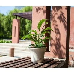 Dwarf Discovery shop -Dwarf Discovery shop 70075187 2