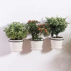 Flower Pot Holders Set Of 3 Flower Pot Wall Mount,Foldable Metal Flower Pot Rack, Home Garden Outdoor Flower Pot Holder Wall (13.5 X 11 X 6.5cm) 8 Flower Pot Holders Set Of 3 Flower Pot Wall Mount,Foldable Metal Flower Pot Rack, Home Garden Outdoor Flower Pot Holder Wall (13.5 X 11 X 6.5cm) -Dwarf Discovery shop 70075342 4