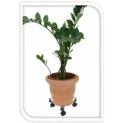 Plant Stand On Wheels Extendable Trolley Large Heavy Duty Plant Pot Holder 30 Cm -Dwarf Discovery shop 71164014 4