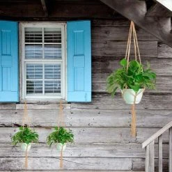 Packs Macrame Plant Hanger, Plant Hanging Pot, For Hanging Flower Pot Plant Hanging Hanging Decoration Balcony Home, 4 Rope Legs, 105cm 8 Packs Macrame Plant Hanger, Plant Hanging Pot, For Hanging Flower Pot Plant Hanging Hanging Decoration Balcony Home, 4 Rope Legs, 105cm -Dwarf Discovery shop 75326277 4