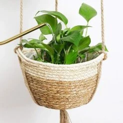 Seagrass Hanging Planter Basket, 2 Size Indoor Outdoor Woven Flower Pot - Flower Pots Cover Storage Basket Plant Containers (Beige) -Dwarf Discovery shop 75329621 5