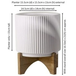 Leaf White Ribbed Ceramic Plant Pot With Bamboo Stand 17 X 17 X 21cm 7 Leaf White Ribbed Ceramic Plant Pot With Bamboo Stand 17 X 17 X 21cm -Dwarf Discovery shop 77246088 4