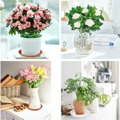 10 Pcs Flower Pot Trivets 23cm Plastic Plant Trays. Reusable Round Planter Trivet Coasters For Indoor And Outdoor Use 8 10 Pcs Flower Pot Trivets 23cm Plastic Plant Trays. Reusable Round Planter Trivet Coasters For Indoor And Outdoor Use -Dwarf Discovery shop 78701589 4