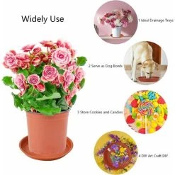 10 Pcs Flower Pot Trivets 23cm Plastic Plant Trays. Reusable Round Planter Trivet Coasters For Indoor And Outdoor Use 9 10 Pcs Flower Pot Trivets 23cm Plastic Plant Trays. Reusable Round Planter Trivet Coasters For Indoor And Outdoor Use -Dwarf Discovery shop 78701589 5