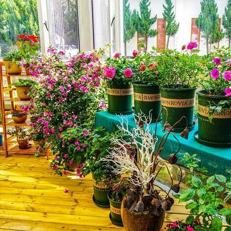 10 Pcs Plant Saucer Plastic Flower Tray Garden Pot Tray Plant Saucer Tray Sturdy And Durable Drip Trays For Water Flower Planters 13xm 5 10 Pcs Plant Saucer Plastic Flower Tray Garden Pot Tray Plant Saucer Tray Sturdy And Durable Drip Trays For Water Flower Planters 13xm - Image 5