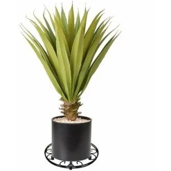 Extra Large Heavy Duty Pot Caddy - Round - Pack Of 1 -Dwarf Discovery shop 85610217 3