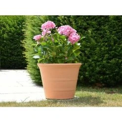 Brighton Pot - Terracotta 7 Brighton Pot - Terracotta -Dwarf Discovery shop 85610830 3