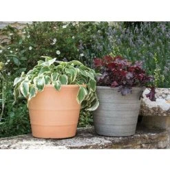 Brighton Pot - Terracotta 8 Brighton Pot - Terracotta -Dwarf Discovery shop 85610830 4