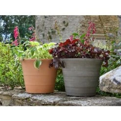 Brighton Pot - Terracotta 9 Brighton Pot - Terracotta -Dwarf Discovery shop 85610830 5