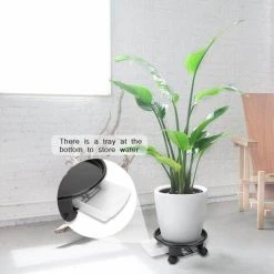 Plant Caddy , BR-Vie Plant Pot Trolley With Brake Wheels, Plastic Planter Roller For Heavy Garden Pot, Plant Pot Stand (Black) 7 Plant Caddy , BR-Vie Plant Pot Trolley With Brake Wheels, Plastic Planter Roller For Heavy Garden Pot, Plant Pot Stand (Black) -Dwarf Discovery shop 85881049 3