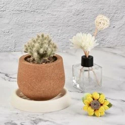 Flower Pot Trivet Planter Trivet 4.7 Inch Round Plastic Corrugated Bottom Drip Tray Indoor Outdoor Cream 3 Pcs 13Thirteen 9 Flower Pot Trivet Planter Trivet 4.7 Inch Round Plastic Corrugated Bottom Drip Tray Indoor Outdoor Cream 3 Pcs 13Thirteen -Dwarf Discovery shop 86188158 5
