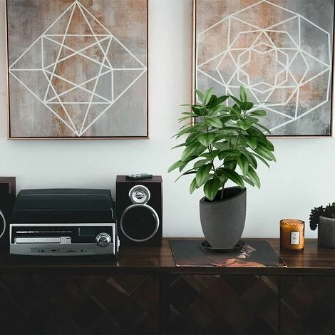 10 Pieces Drip Flower Pot Drop Plant Tray Pot Saucers Pottery Mini Flower Pot Tray Flowerpot Base For Garden Balcony 25Cm 5 10 Pieces Drip Flower Pot Drop Plant Tray Pot Saucers Pottery Mini Flower Pot Tray Flowerpot Base For Garden Balcony 25Cm - Image 5