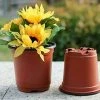 100 PCS Plastic Plant Pot 10cm Seed Pots Reusable Plastic Seedling Pots Nursery Pots For Garden Home