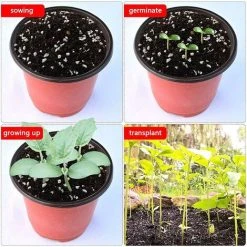 100 PCS Plastic Plant Pot 10cm Seed Pots Reusable Plastic Seedling Pots Nursery Pots For Garden Home -Dwarf Discovery shop 88884352 3