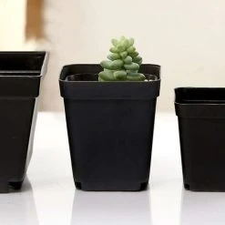 50pcs Black Seedling Bucket - Square Plastic Plant Pots - Outdoor Indoor Small Flower Pot (Black/6x5x6.5cm) -Dwarf Discovery shop 93522421 3