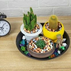 Flower Pot Saucers Set Of 6 Plastic Saucers For Indoor And Outdoor Plants Gray -Dwarf Discovery shop 93870214 3