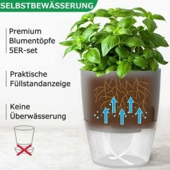 Window Sill Herb Pot Kitchen Set 5 Herbs Set For Kitchen, 15.3/10.5/8.2cm, For Fresh Kitchen Herbs, Gray -Dwarf Discovery shop 94518224 3