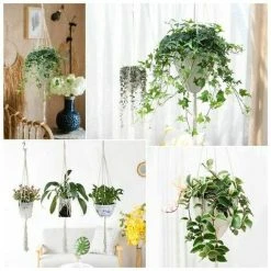 Pieces Macrame Flower Basket Cotton Rope Hanging Planter With 4 Hooks, Hand-Woven Braided Hanging Flower Pot For Indoor Outdoor Ceiling Balconies Garden Decor Wall Decoration (Beige, 100cm) 7 Pieces Macrame Flower Basket Cotton Rope Hanging Planter With 4 Hooks, Hand-Woven Braided Hanging Flower Pot For Indoor Outdoor Ceiling Balconies Garden Decor Wall Decoration (Beige, 100cm) -Dwarf Discovery shop 95584074 3