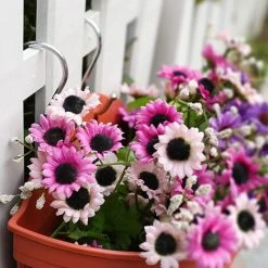 Balcony Plastic Resin Wall Hanging Flower Pot Green -Dwarf Discovery shop 97380571 4